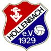 Wappen / Logo des Teams TSV Hollenbach