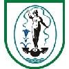 Wappen / Logo des Teams VS Limbach