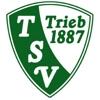 Wappen / Logo des Teams TSV Trieb
