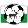 Wappen / Logo des Teams 1. FC Weiß-Grün Hirschfeld 94