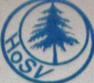 Wappen / Logo des Vereins Hohenfichtener SV