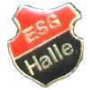 Wappen / Logo des Teams ESG Halle