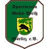 Wappen / Logo des Teams JSG Heidekicker/Grfenhainichen