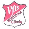Wappen / Logo des Teams VfB Borussia Grzig (flexi)