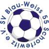 Wappen / Logo des Teams SV Blau-Weiss Schortewitz 2