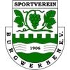Wappen / Logo des Vereins SV Burgwerben