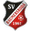 Wappen / Logo des Teams Baumersrodaer SV