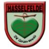 Wappen / Logo des Teams SV Grn-Wei Hasselfelde