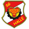 Wappen / Logo des Vereins SG Motor Hallev.