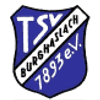 Wappen / Logo des Vereins TSV 1893 Burghaslach