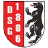 Wappen / Logo des Vereins Droyiger SG