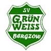 Wappen / Logo des Vereins SV Grn-Wei Bergzow