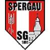 Wappen / Logo des Teams SG Spergau