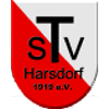 Wappen / Logo des Teams TSV Harsdorf 2