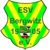 Wappen / Logo des Teams Erster SV Bergwitz 05