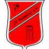 Wappen / Logo des Teams SV Reinsdorf