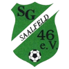 Wappen / Logo des Teams SG Saalfeld 46