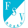 Wappen / Logo des Teams Blau-Wei Borau