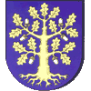 Wappen / Logo des Teams MTV Weferlingen