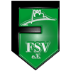 Wappen / Logo des Vereins Flechtinger SV