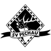 Wappen / Logo des Vereins SV Pechau