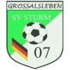 Wappen / Logo des Teams SV Sturm 07 Grossalsleben