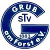 Wappen / Logo des Teams TSV Grub a. Forst
