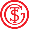 Wappen / Logo des Teams TSG Concordia Schnkirchen