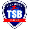 Wappen / Logo des Teams TSB Flensburg 4