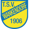 Wappen / Logo des Teams SG WankendorfBornhved 2