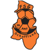 Wappen / Logo des Teams FSG im Amt Schafflund 2