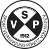 Wappen / Logo des Teams SVG Pnitz