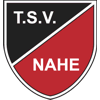 Wappen / Logo des Teams TSV Nahe