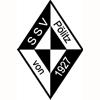 Wappen / Logo des Vereins SSV Plitz