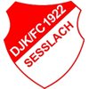 Wappen / Logo des Vereins DJK/FC Selach