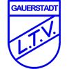 Wappen / Logo des Teams SG Gauerstadt 2 /Meeder IV/Weidach 2