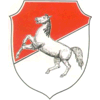 Wappen / Logo des Teams TSV Rossach