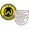 Wappen / Logo des Teams SV Vaalia