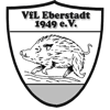 Wappen / Logo des Teams SG Eberstadt/Gtzingen/Schlierstadt