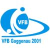 Wappen / Logo des Vereins VfB Gaggenau 2001