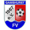 Wappen / Logo des Vereins FV Gamshurst