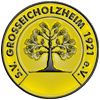 Wappen / Logo des Teams SV Groeicholzheim