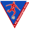 Wappen / Logo des Vereins 1. FC Rielasingen-Arlen