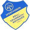 Wappen / Logo des Teams SV Boll/Krumbach/Biet.