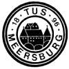 Wappen / Logo des Teams SG Meersburg