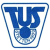 Wappen / Logo des Teams TuS Lrrach-Stetten 4