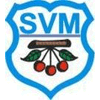 Wappen / Logo des Teams SV Msbach 2