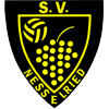 Wappen / Logo des Teams SV Nesselried 2