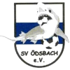 Wappen / Logo des Teams SV dsbach