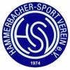 Wappen / Logo des Teams Hammerbacher SV 2